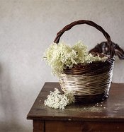 Agrivilla I Pini